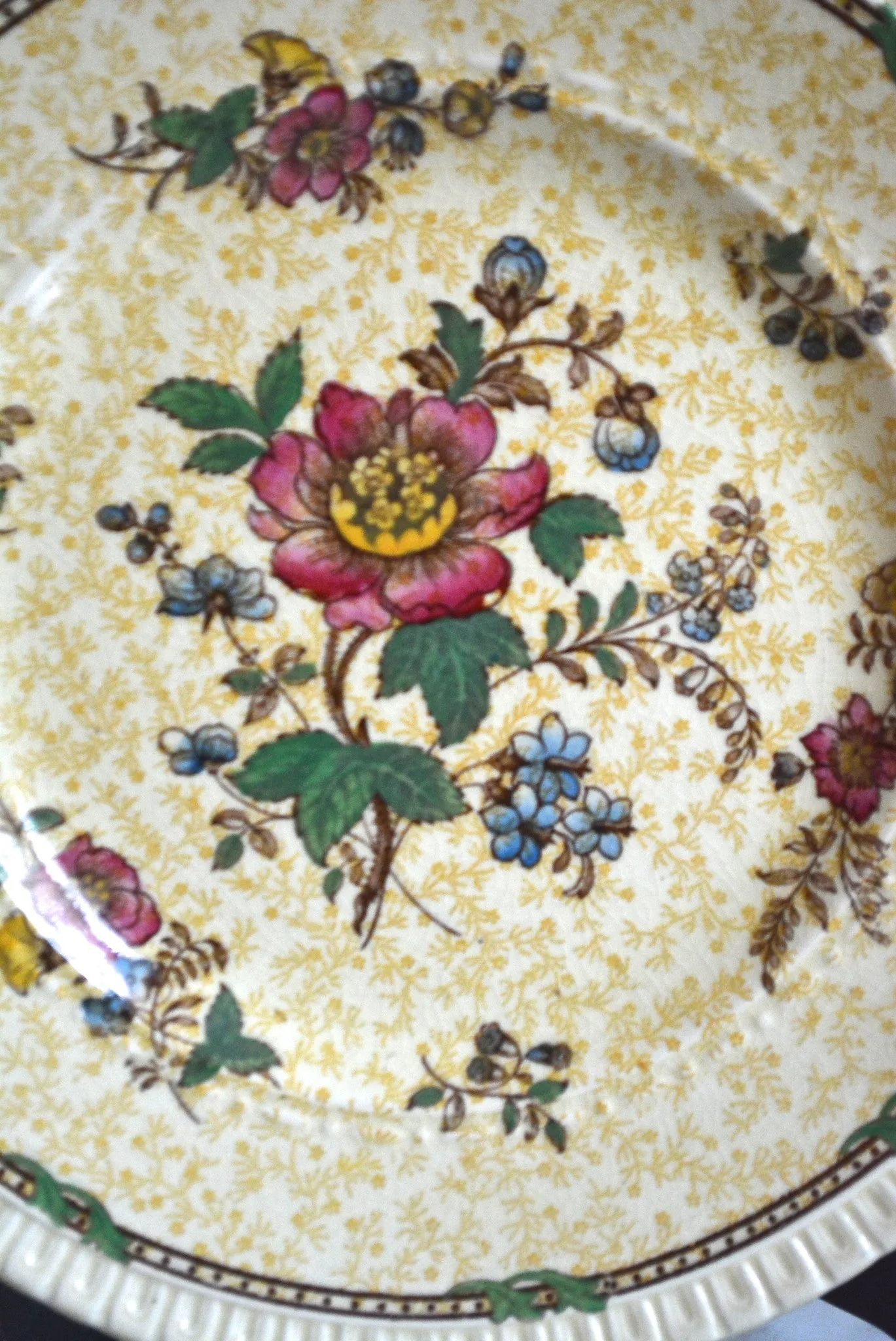 Antique Staffordshire Yellow Chintz & Brown Two Color Transferware Plate Roses Flowers