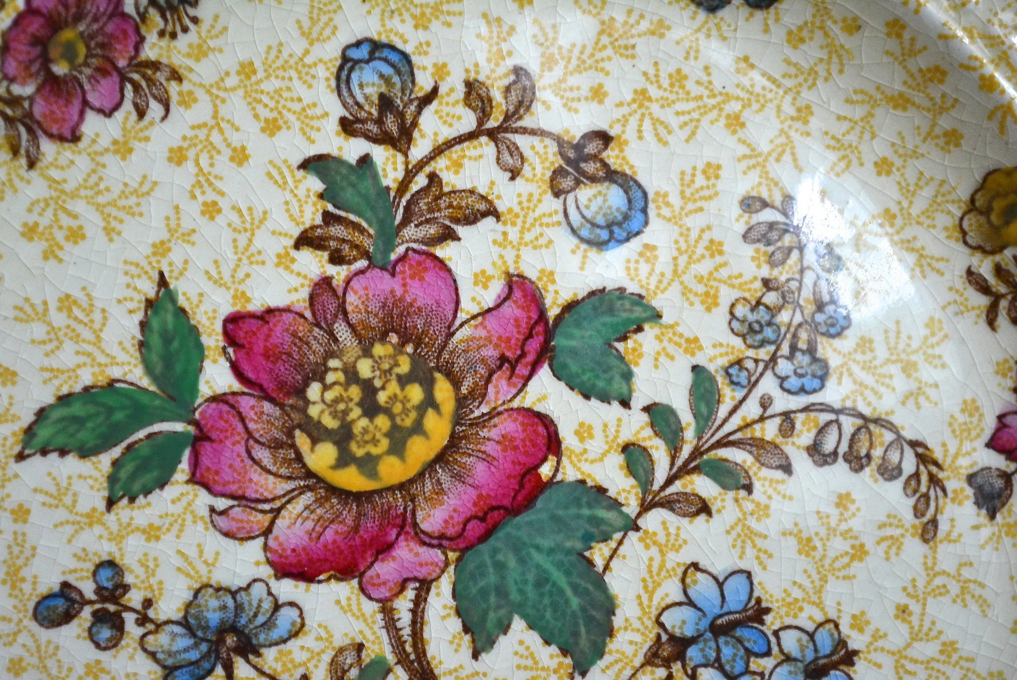 Antique Staffordshire Yellow Chintz & Brown Two Color Transferware Plate Roses Flowers