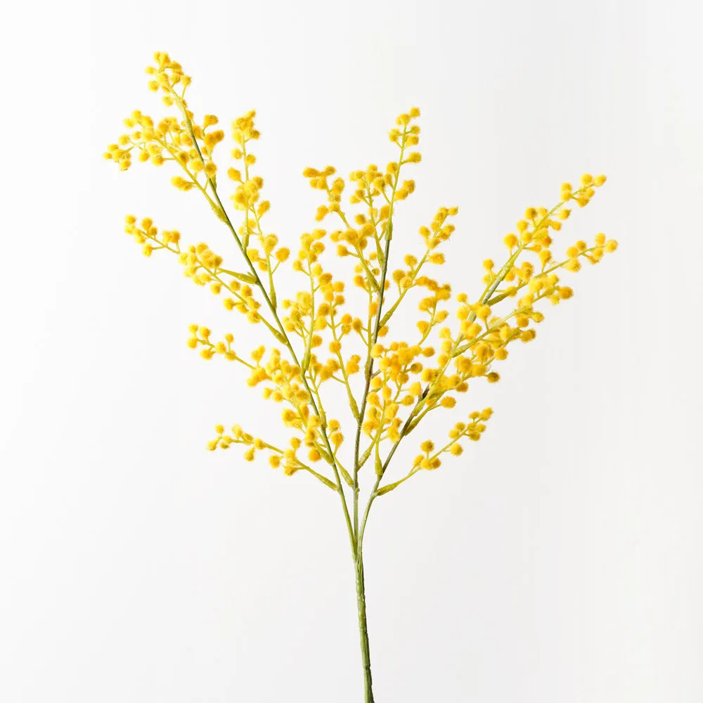 Australian Native Mimosa Wattle Blossom Flower Spray - Yellow