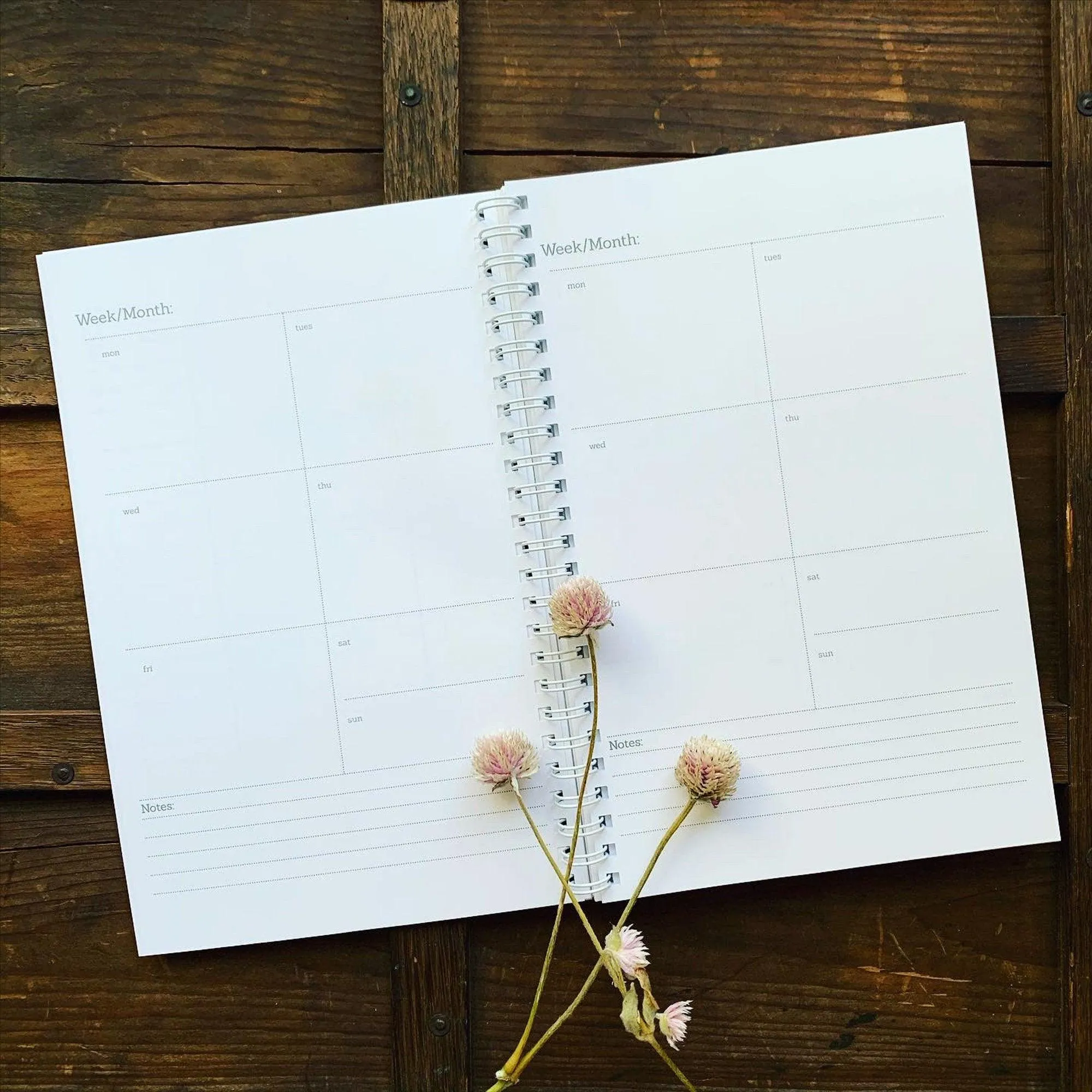 Planner: Zeek the Octopus (3 styles)