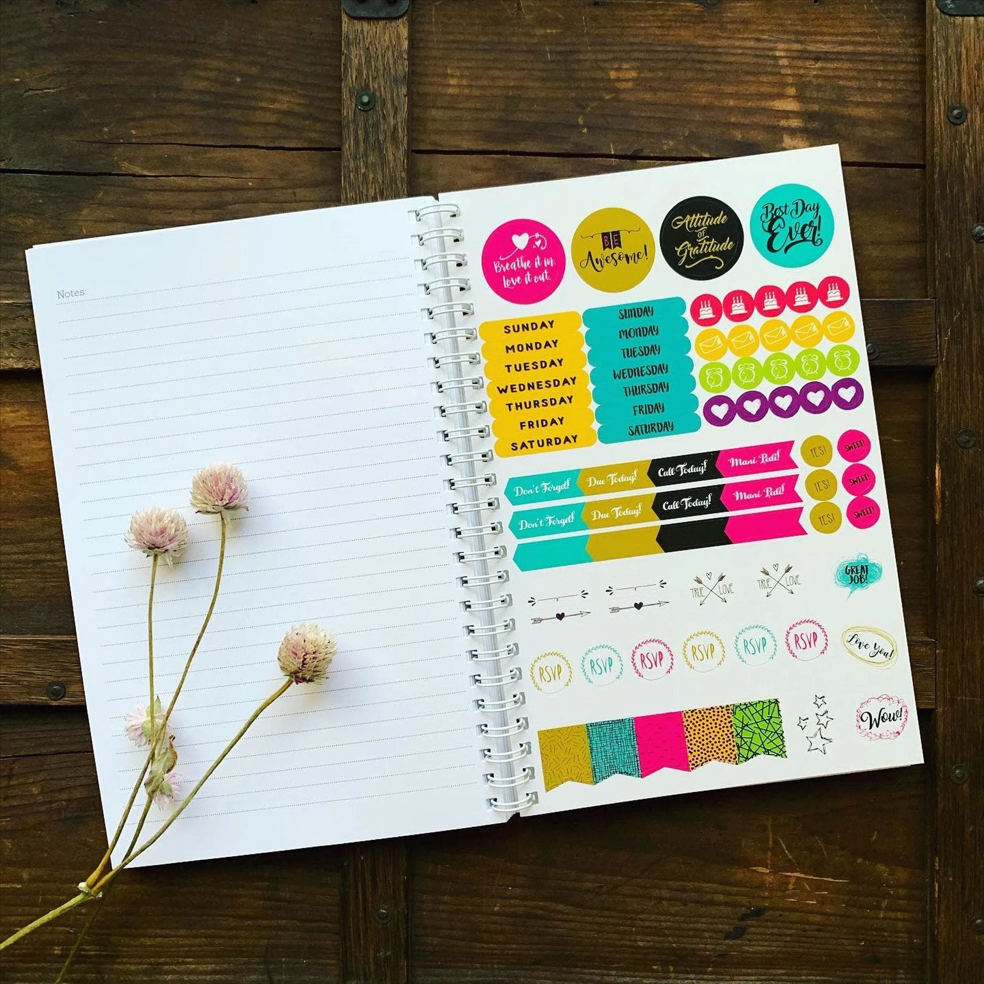 Planner: Zeek the Octopus (3 styles)