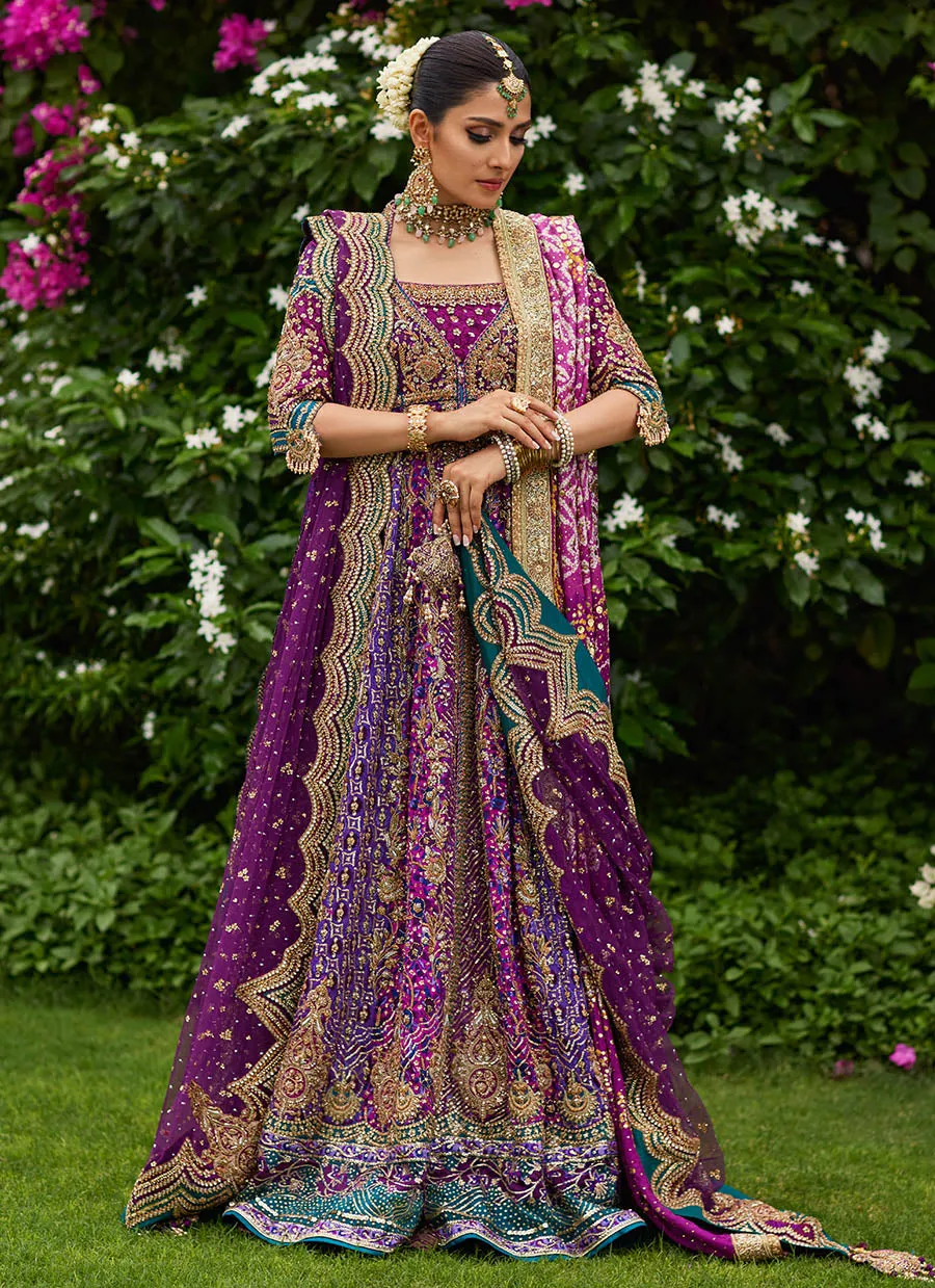 Zeenat Aubergine