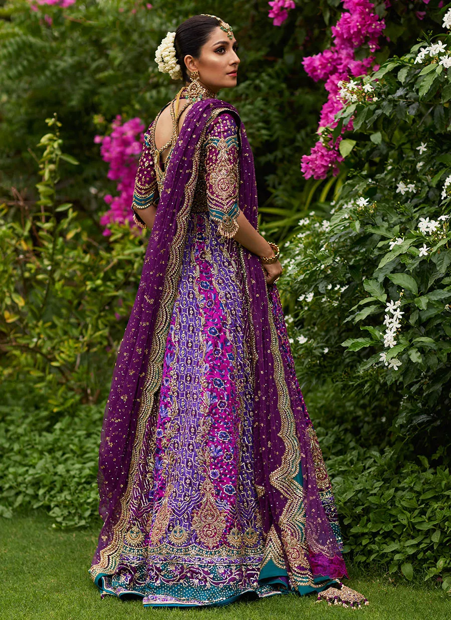 Zeenat Aubergine