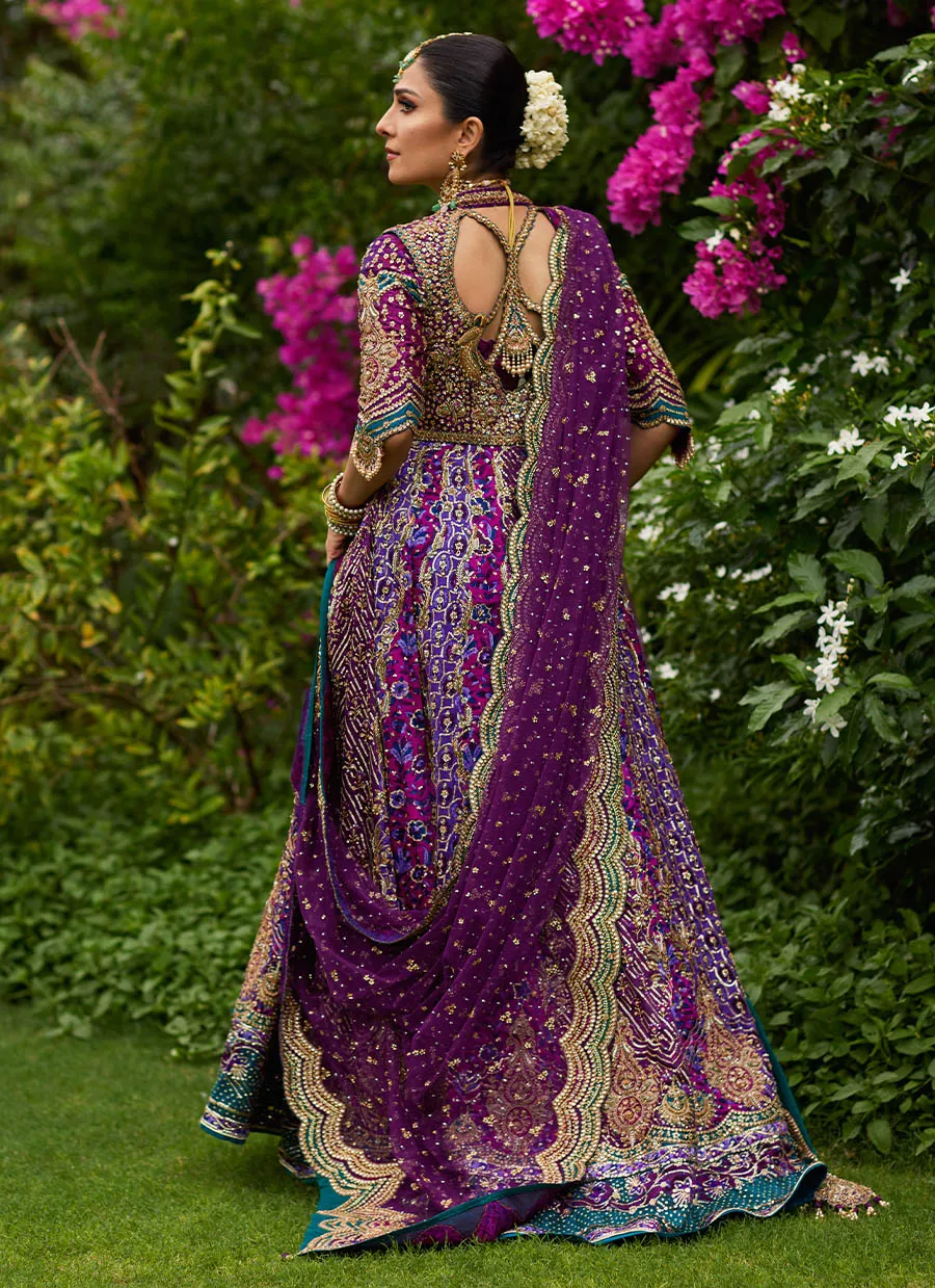 Zeenat Aubergine